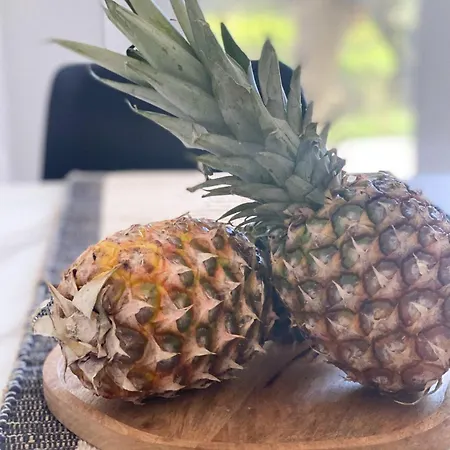 Feriehus Nicol's House