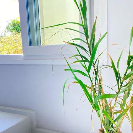 Nicol's House Nyaraló Hriszí Aktí Haniá