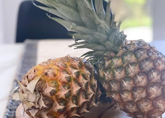 Vakantiehuis Nicol's House